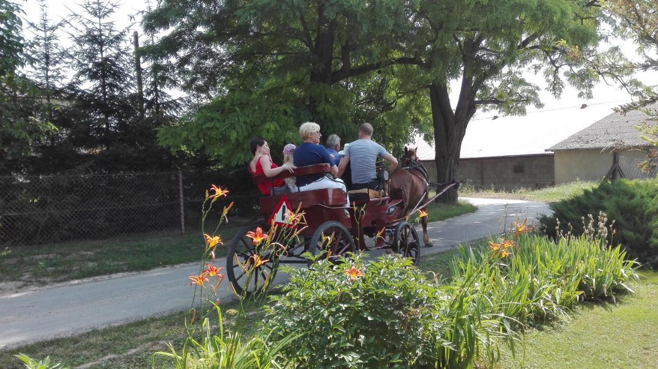 Swieze Poddasze U Przybyszow Andruszkowice Kültér fotó