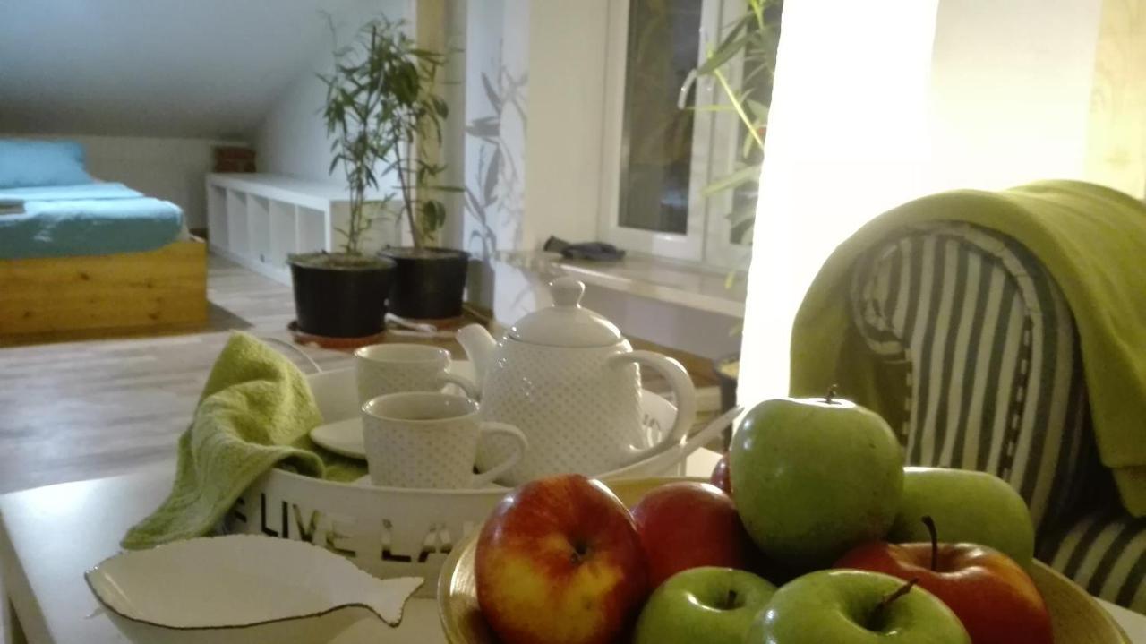 Swieze Poddasze U Przybyszow Andruszkowice Kültér fotó